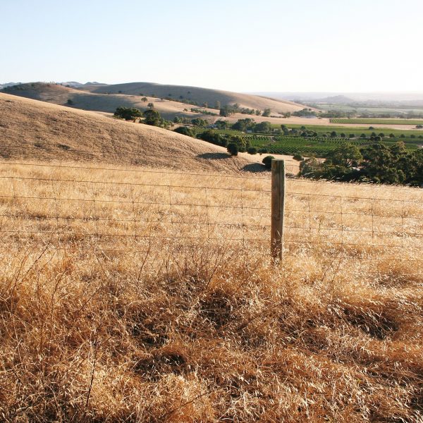 Photo taken by Darren Brooks - Vino Versa