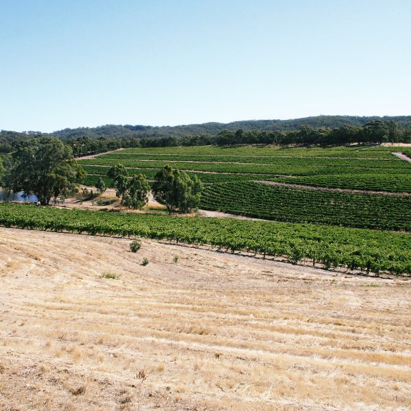 Photo taken by Darren Brooks - Vino Versa