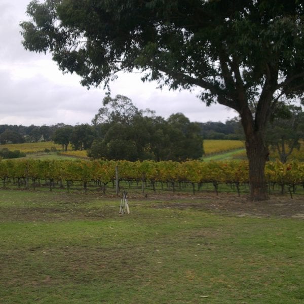 Photo taken by Darren Brooks - Vino Versa