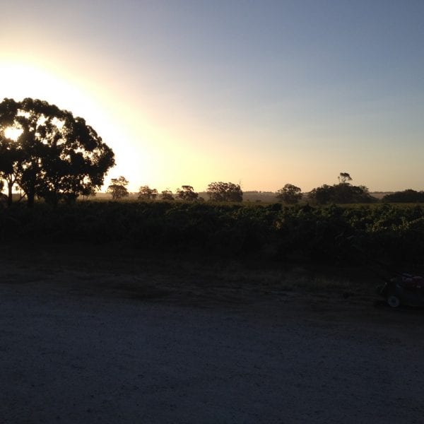 Photo taken by Darren Brooks - Vino Versa