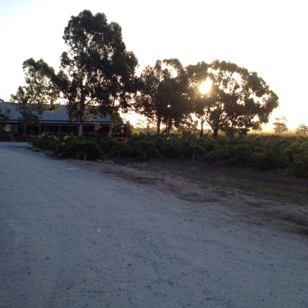 Photo taken by Darren Brooks - Vino Versa