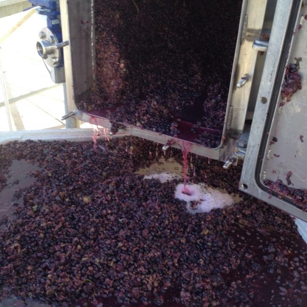 Photo taken by Darren Brooks - Vino Versa