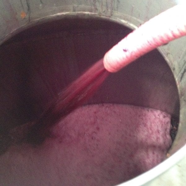 Photo taken by Darren Brooks - Vino Versa