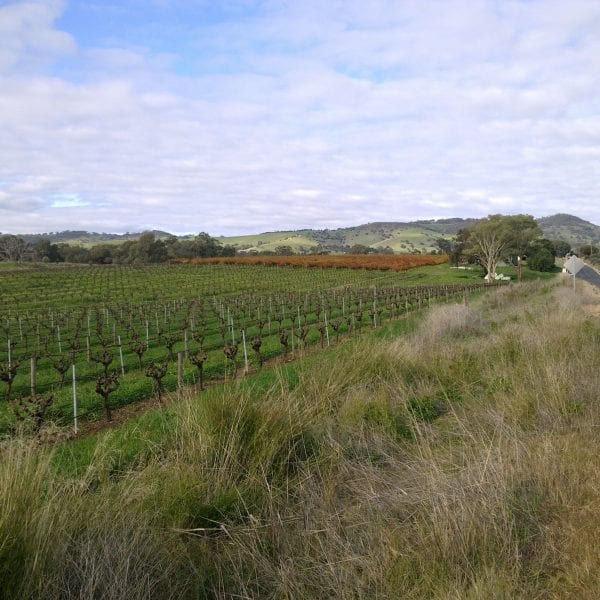 Photo taken by Darren Brooks - Vino Versa