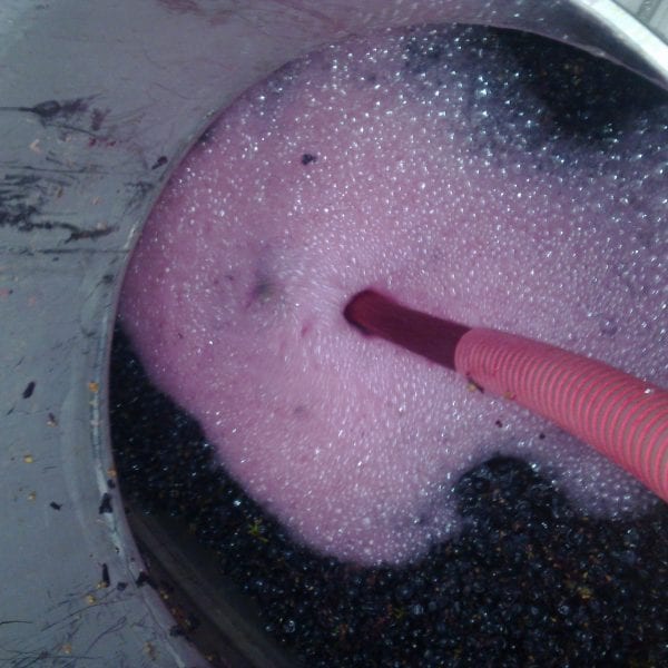 Photo taken by Darren Brooks - Vino Versa