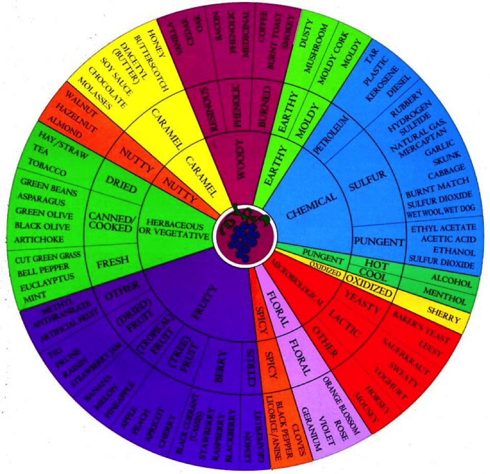 Vino Versa - wine-colour-wheel
